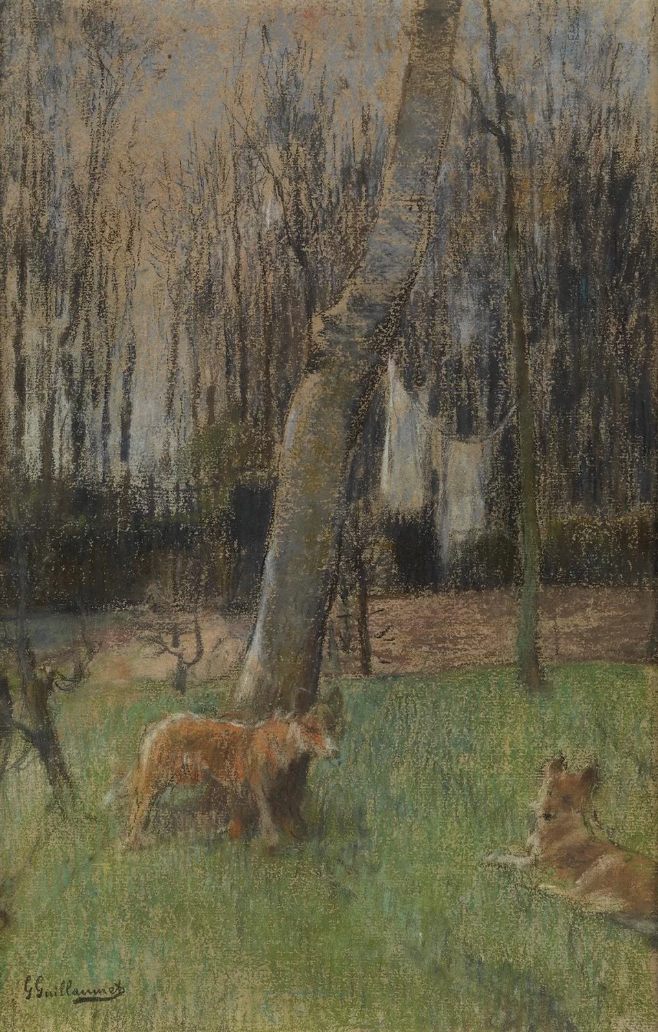 Una vista di un cortile con due cani